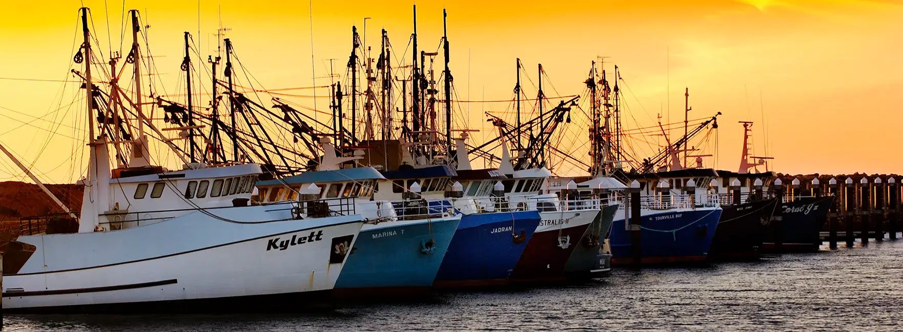 Boats on shore